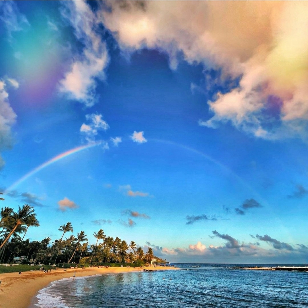 Meet your Posher, Vantrice